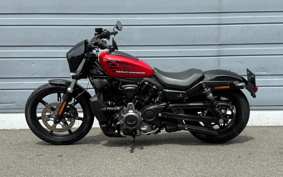 HARLEY  HARLEY RH975 NIGHT  STAR  2022 ZH1