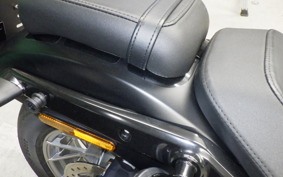 HARLEY RH975S 2024