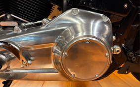 HARLEY FXST1340-1450 2024 BVJ