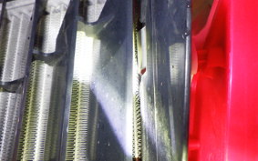 HONDA CRF250L MD38