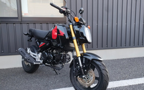 HONDA GROM JC92