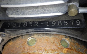 SUZUKI TS185