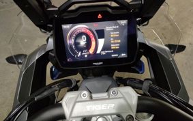 TRIUMPH TIGER 1200GT PRO 2025 TAP22V