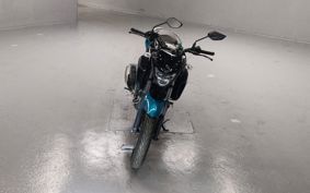 YAMAHA FZ25 RG42
