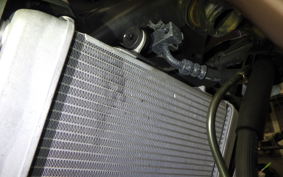 HONDA CB250RA 2007 MC52