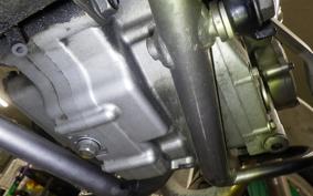 SUZUKI DJEBEL 250 XC 2007 SJ45A