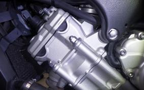 YAMAHA FZ1 FAZER 2009 RN21J
