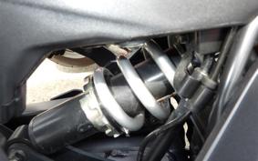 YAMAHA MT-09 2024 RN87J