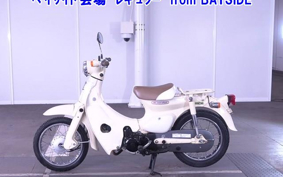 OTHER  LITTLE CUB E FI