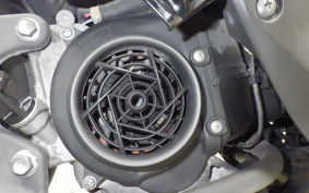 SUZUKI ADDRESS 110 2019 CE47A