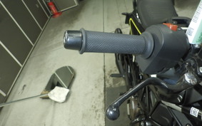 HUSQVARNA SVARTPILEN 401 2019