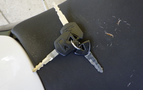 KAWASAKI Z250 ER250C