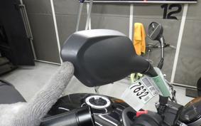 TRIUMPH TRIDENT 660 2025