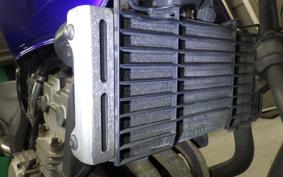 HONDA HORNET 250 2023 MC31