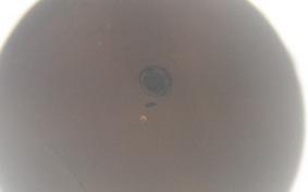 HARLEY FLSTC 1450 2002