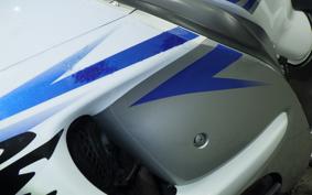 SUZUKI HAYABUSA Gen.2 2009