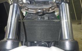 HONDA HORNET 250 2013 MC31