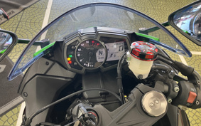KAWASAKI NINJA ZX-6R 2019 ZX636G