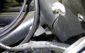 DUCATI DIAVEL 1260 S 2019