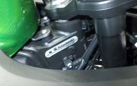 KAWASAKI NINJA 1000 A 2020 ZXT00W