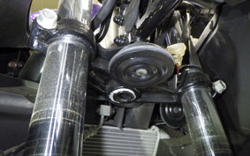 YAMAHA YZF-R15