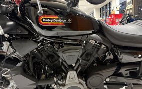HARLEY  HARLEY RH975S NIGHT  STAR  2023 ZF1