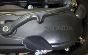 HONDA GIORNO 3 AF77