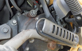 HONDA PS250 MF09