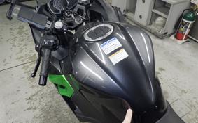 KAWASAKI NINJA 250 2022 EX250Y