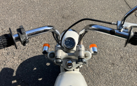 HONDA MONKEY Z50J