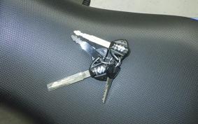 SUZUKI GSX250RA 2008