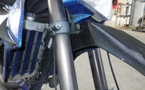 KAWASAKI KLX250D TRACKER X 2021 LX250V