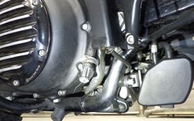 HARLEY XL1200NS 2018
