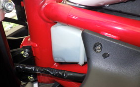 MV AGUSTA F3 800 2023