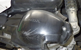 HONDA FORESIGHT EX MF04