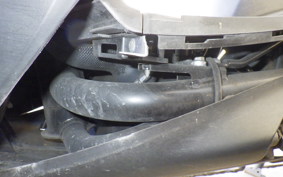 YAMAHA CYGNUSｸﾞﾘﾌｧｽ SEJ4J