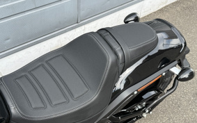 HARLEY  HARLEY FXFBS 2025 YLK