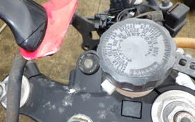 HONDA RVF400 2000 NC35