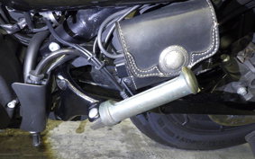 HARLEY XL1200NS 2020