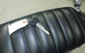 YAMAHA DRAGSTAR 250 2021 VG05J