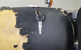 YAMAHA VIRAGO 250 3DM