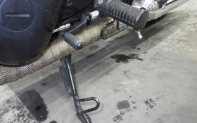 KAWASAKI W800 2021 EJ800B