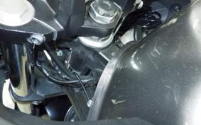 KAWASAKI VERSYS-X 250 A 2009 LE250D