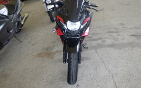 SUZUKI GSX250RA