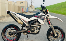 YAMAHA WR250X DG15J