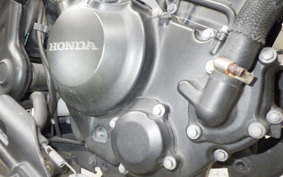 HONDA REBEL 250 2009 MC49