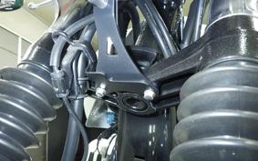 KAWASAKI W800 2026 EJ800E