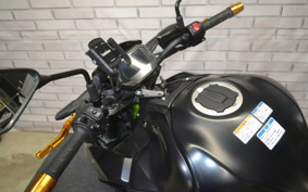 KAWASAKI Z900 2021 ZR900B