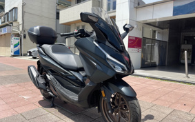 HONDA  FORZA 250 MF17