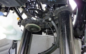 KAWASAKI ZX-4RR 2024 ZX400P